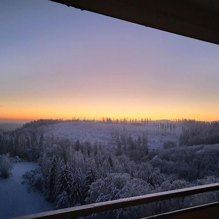 Appartement Zur Bergoase Mi Schwimmbad Hohegeiß Exterior foto
