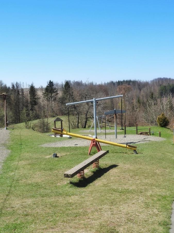 Appartement Zur Bergoase Mi Schwimmbad Hohegeiß Exterior foto