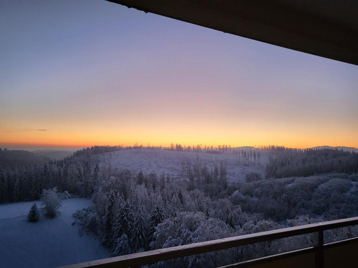 Appartement Zur Bergoase Mi Schwimmbad Hohegeiß Exterior foto